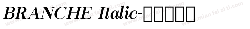 BRANCHE Italic字体转换